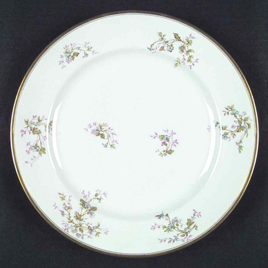 Schleiger 904 Dinner Plate by Haviland-1