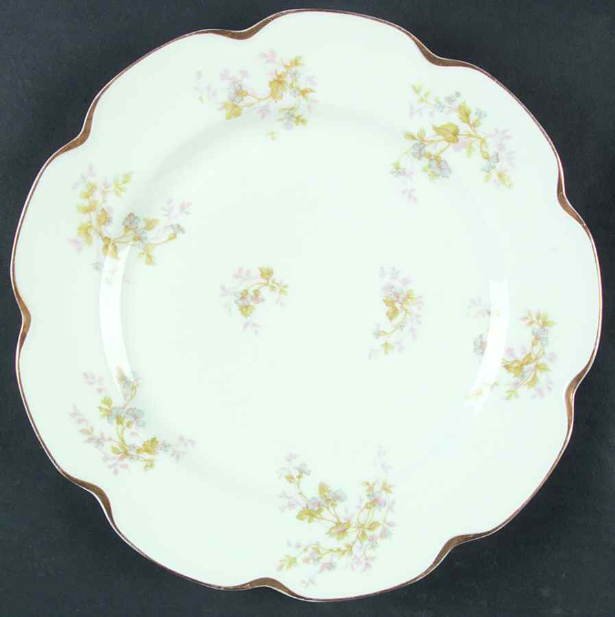 Schleiger 904D Dinner Plate by Haviland-1