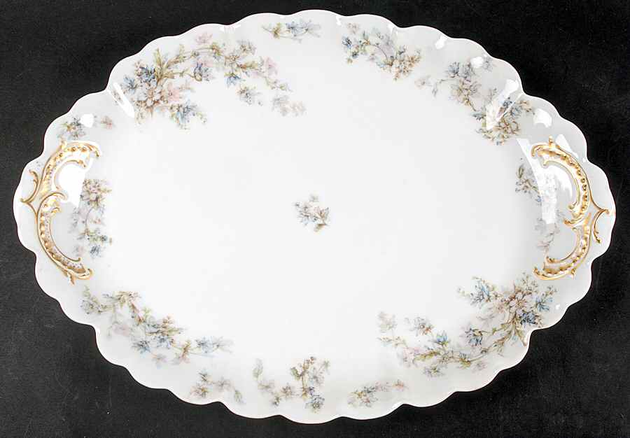 Schleiger 91 16" Oval Serving Platter by Haviland-1
