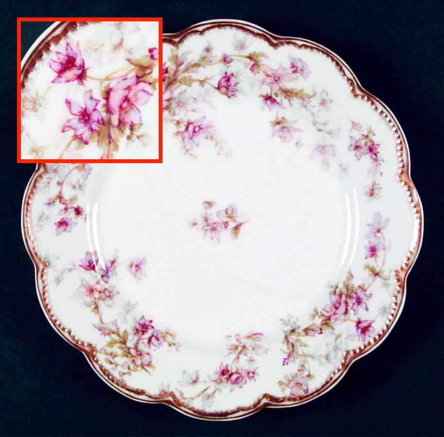 Schleiger 91A Salad Plate by Haviland-1