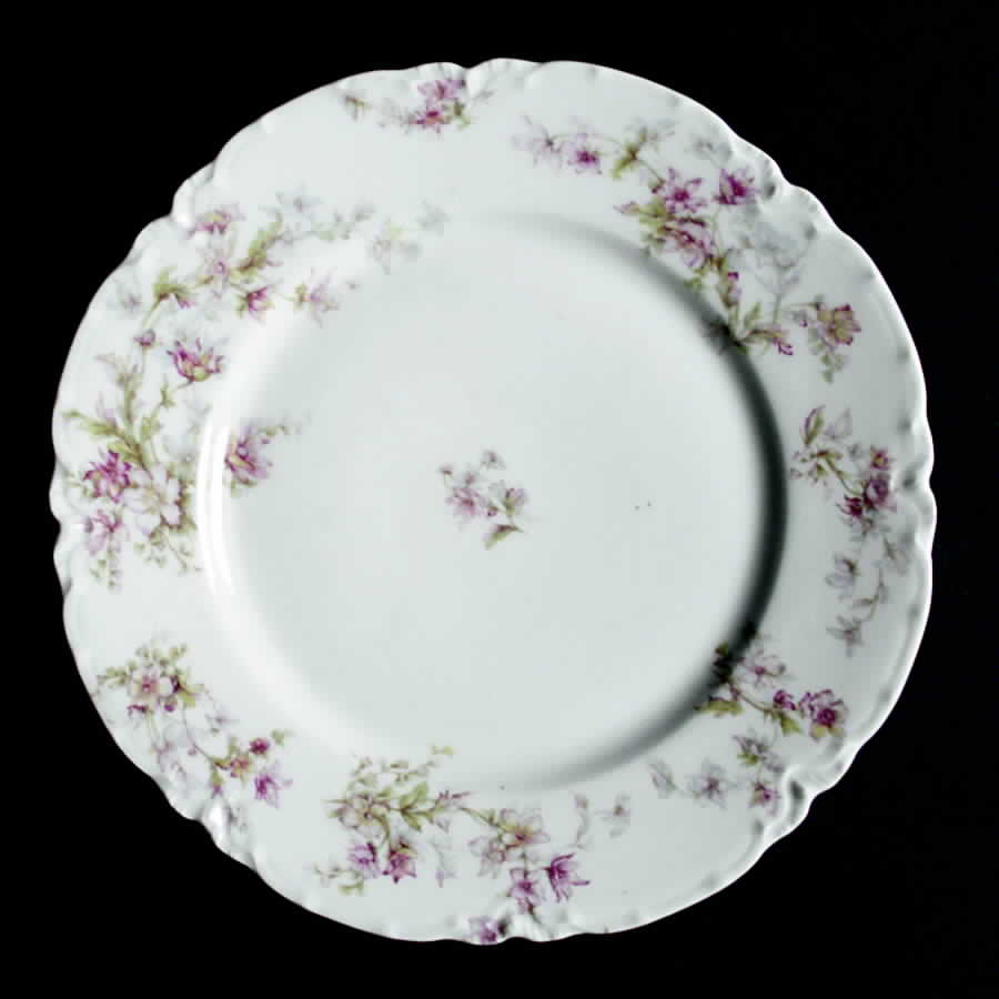 Schleiger 91C Dinner Plate by Haviland-1