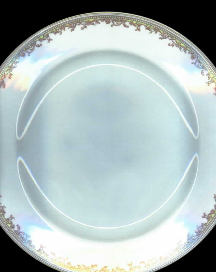 Schleiger 950 Dinner Plate by Haviland-1