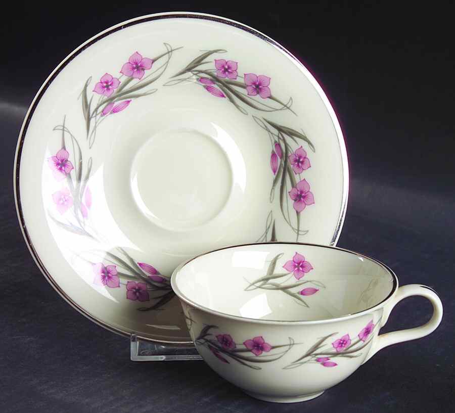 Serenade Flat Cup & Saucer Set by Haviland-1