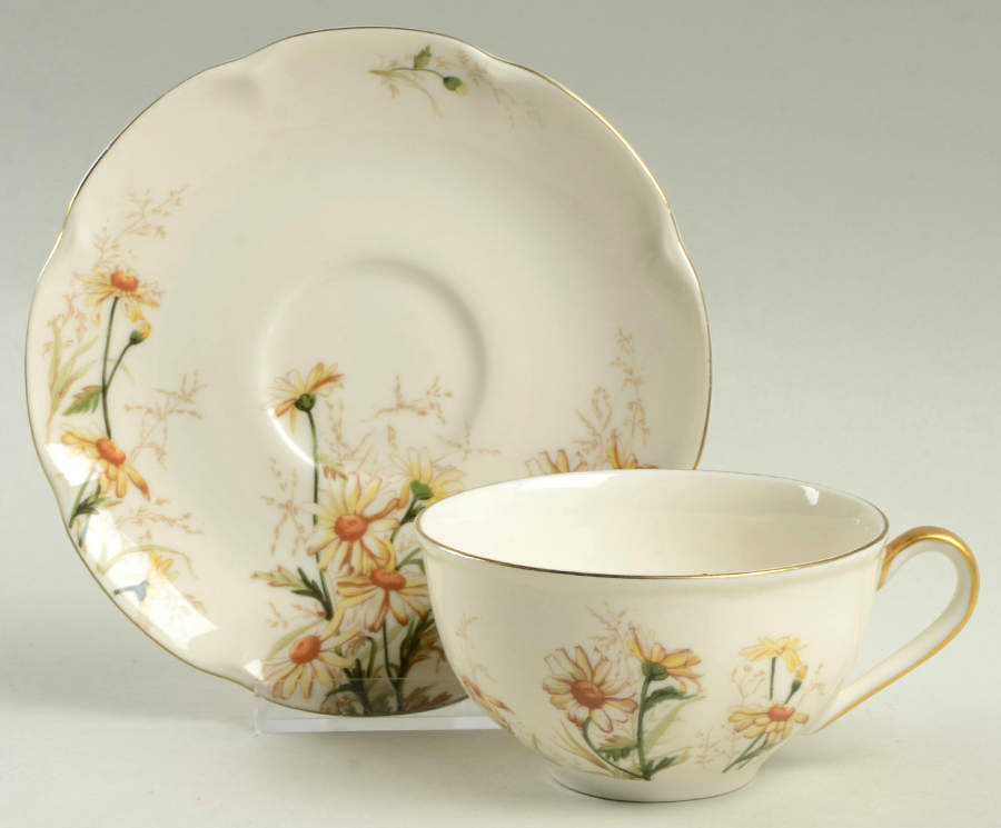 Shasta Flat Cup & Saucer Set by Haviland-1