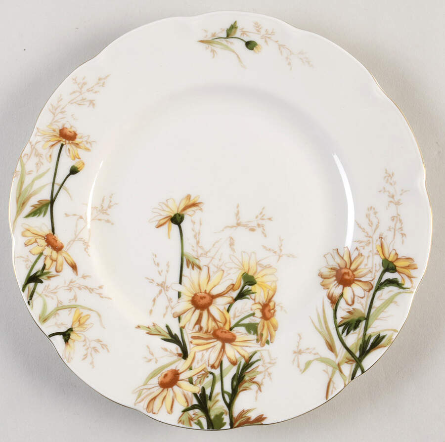 Shasta Luncheon Plate by Haviland-1