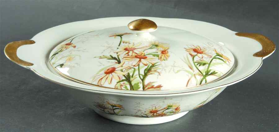 Shasta Round Covered Vegetable by Haviland-1