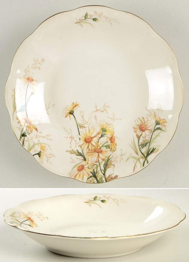 Shasta Coupe Soup Bowl by Haviland-1