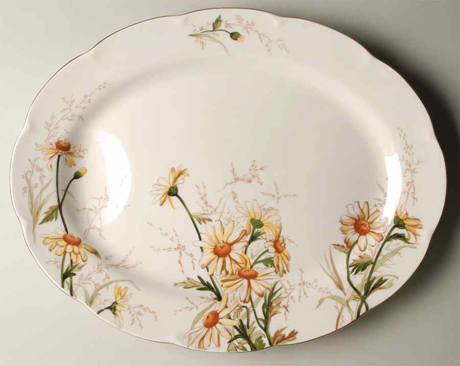 Shasta 16" Oval Serving Platter by Haviland-1