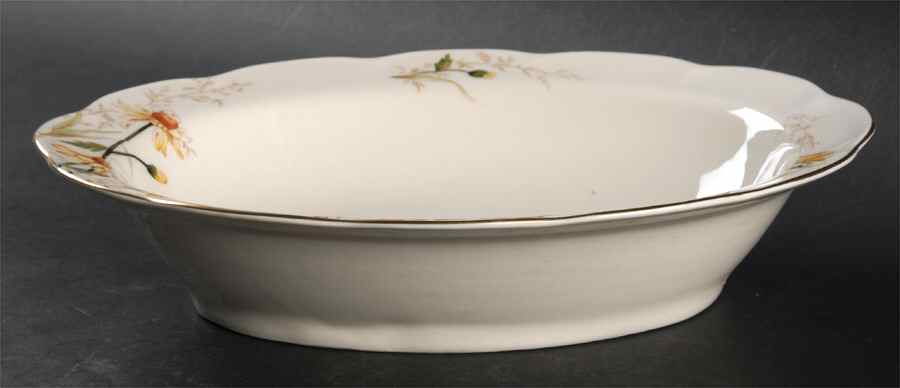Shasta 9" Oval Vegetable Bowl by Haviland-1