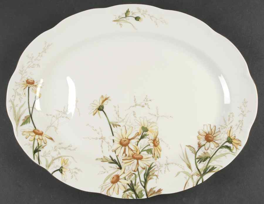 Shasta 14" Oval Serving Platter by Haviland-1