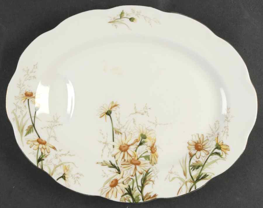 Shasta 11" Oval Serving Platter by Haviland-1