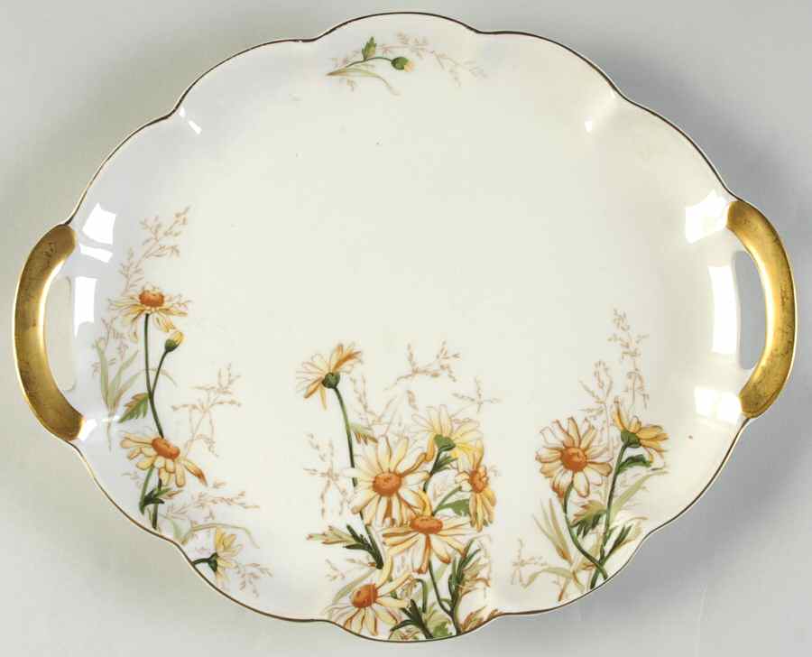 Shasta 11" Oval Serving Platter by Haviland-1