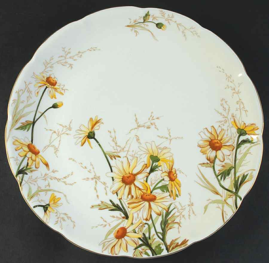 Shasta 12" Chop Plate (Round Platter) by Haviland-1