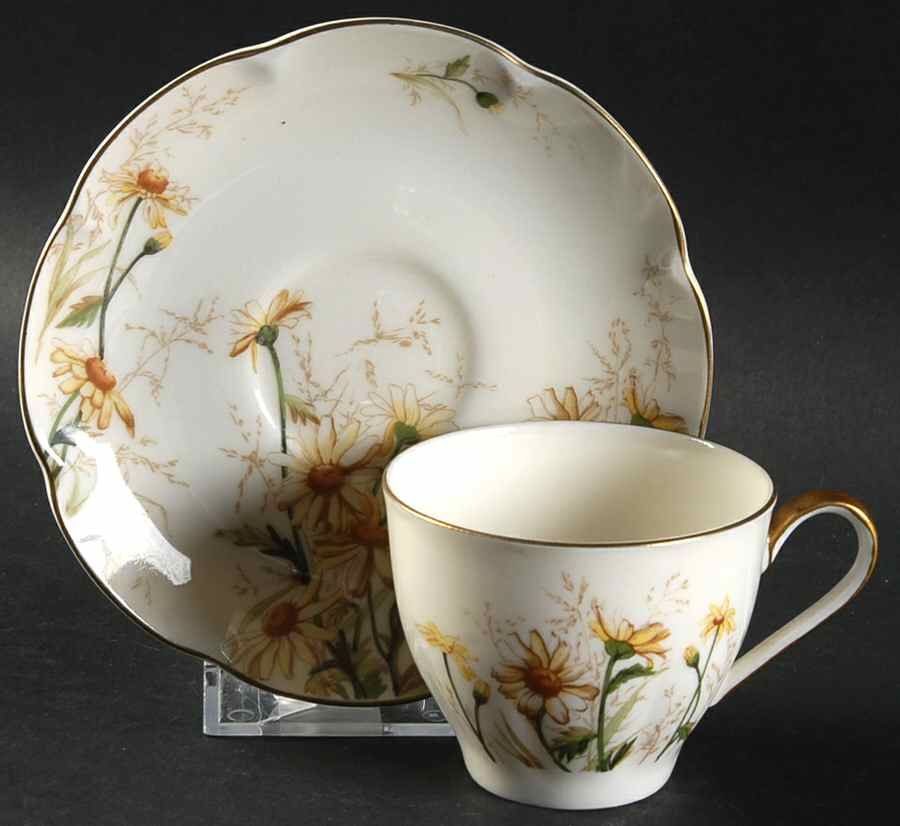 Shasta Flat Demitasse Cup & Saucer Set by Haviland-1