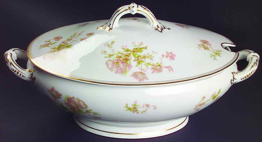 Springtime (France) Tureen &  Lid by Haviland-1