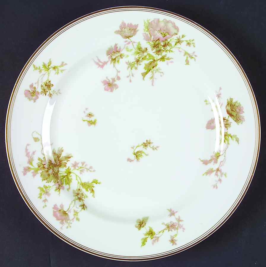 Springtime (France) Dinner Plate by Haviland-1