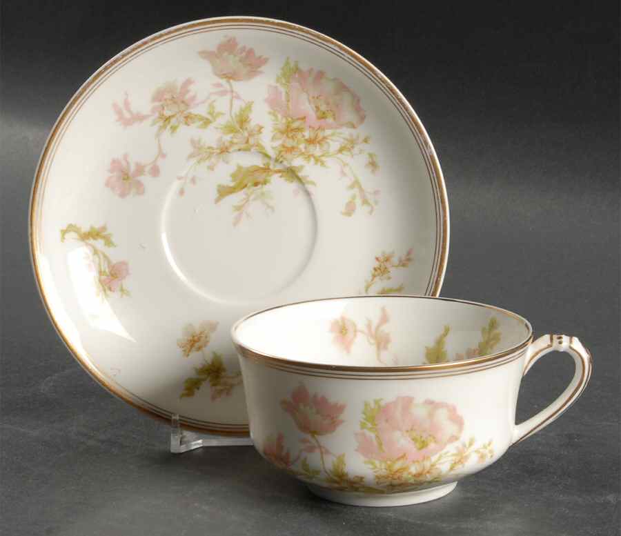 Springtime (France) Flat Cup & Saucer Set by Haviland-1