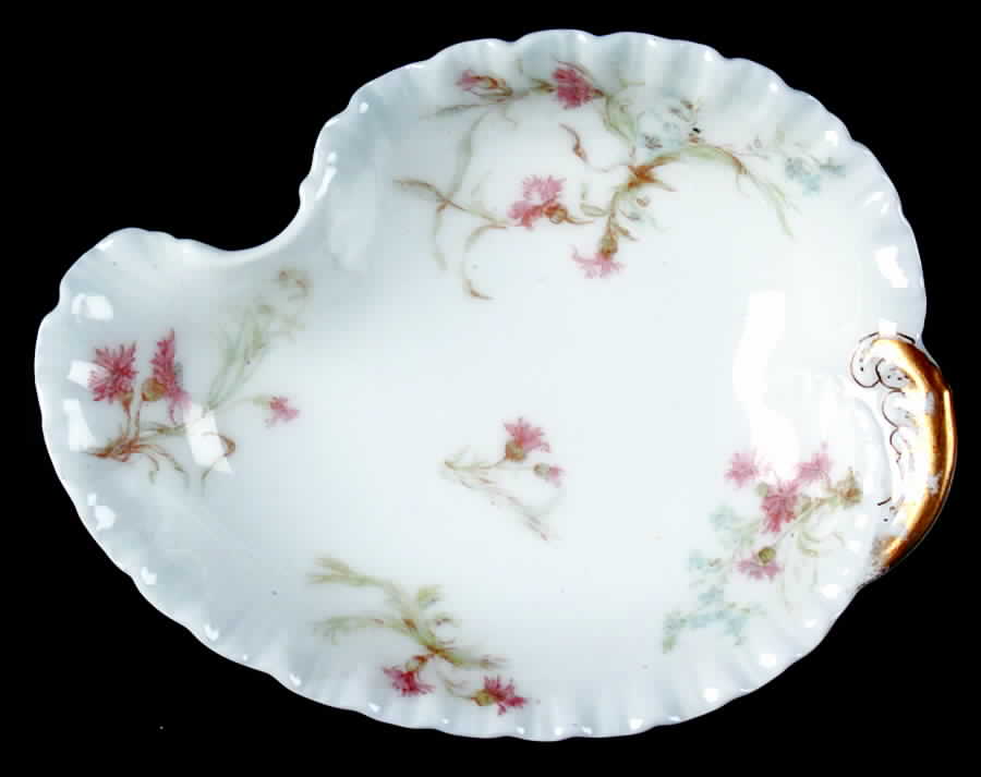 St. Lazare, The Pickle Dish by Haviland-1