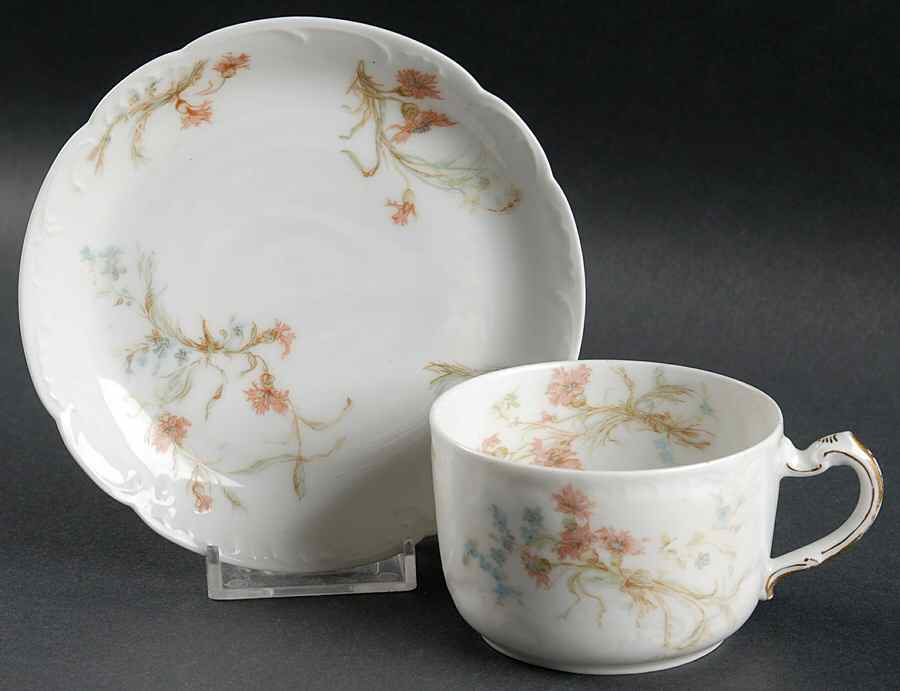 St. Lazare, The Flat Cup & Saucer Set by Haviland-1
