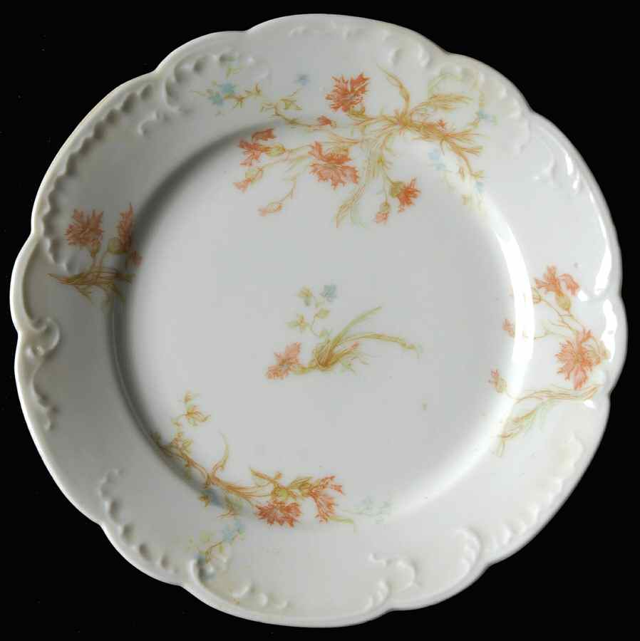 St. Lazare, The Luncheon Plate by Haviland-1