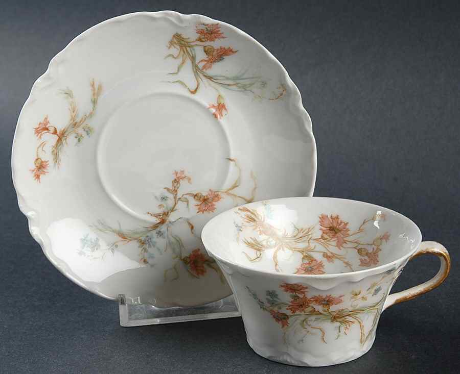 St. Lazare Flat Demitasse Cup & Saucer Set by Haviland-1