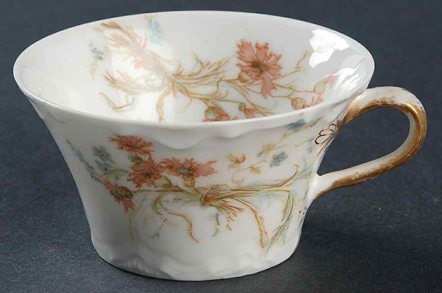 St. Lazare Flat Demitasse Cup by Haviland-1