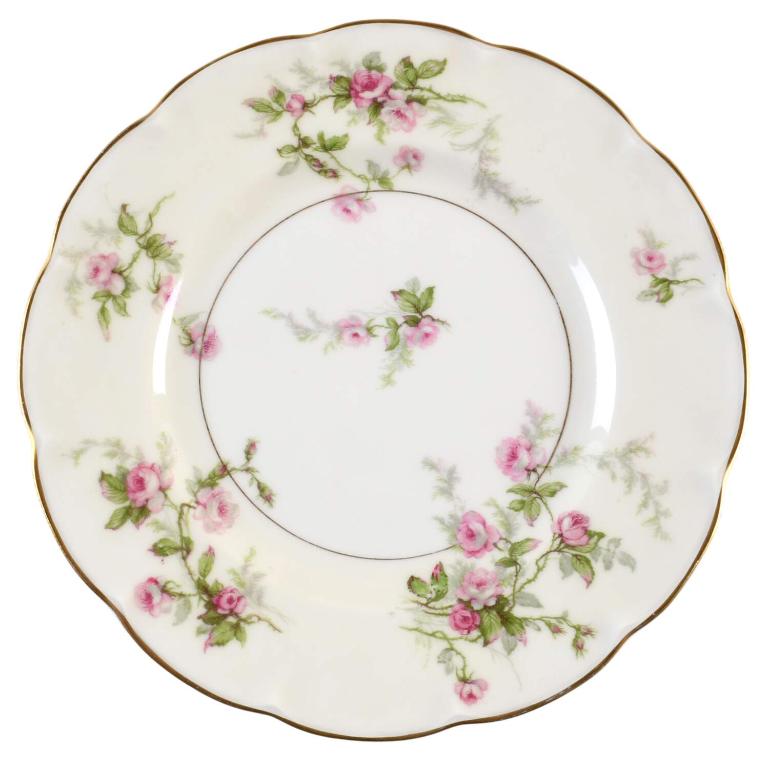 Sylvia Cream (Isle de France, Cream) Luncheon Plate by Haviland-1