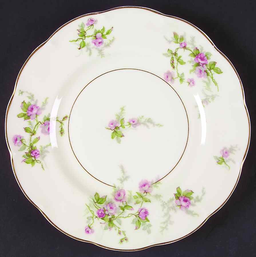 Sylvia Cream (Isle de France, Cream) Dinner Plate by Haviland-1