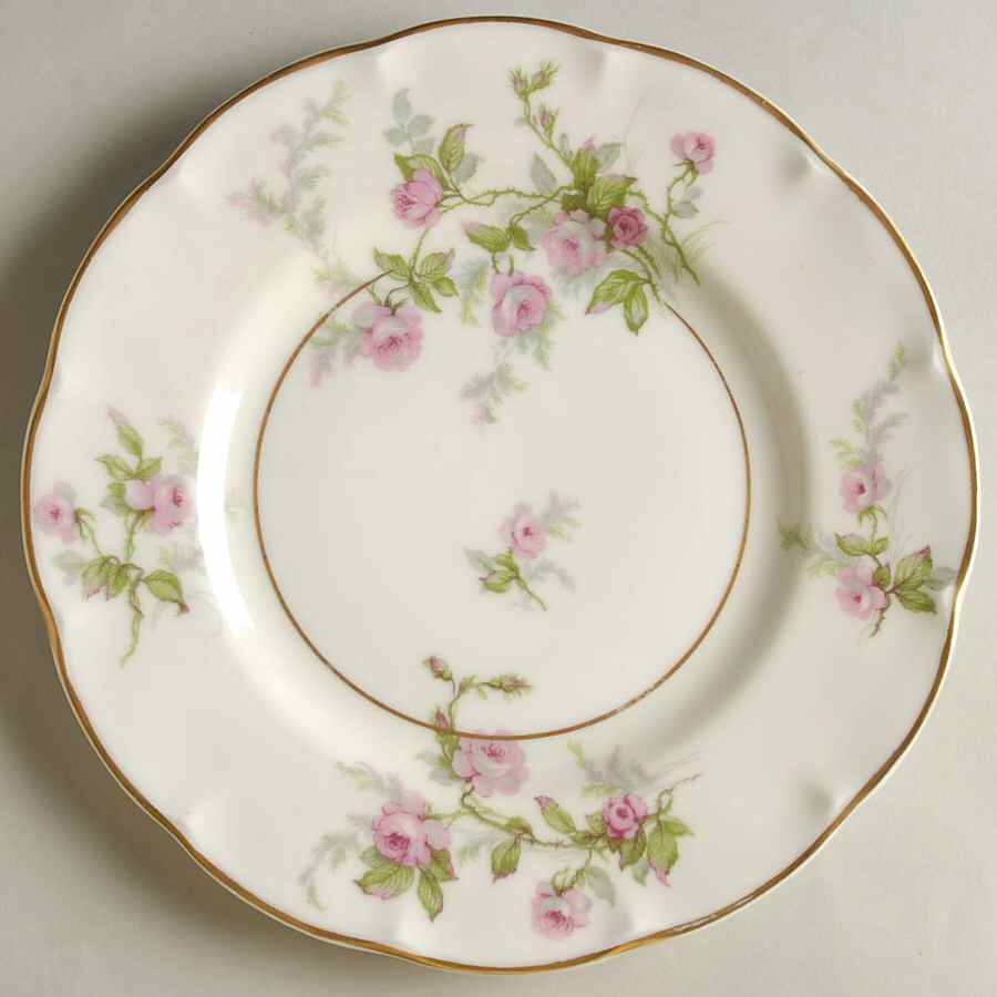 Sylvia Cream (Isle de France, Cream) Salad Plate by Haviland-1