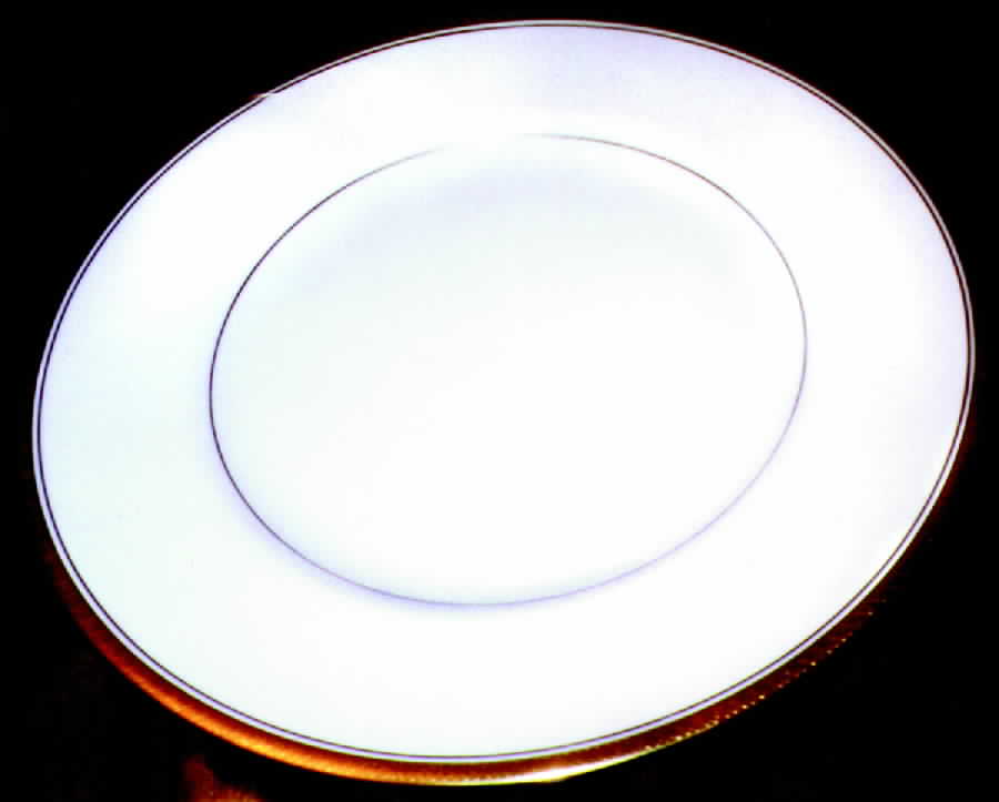 Tavelle Dinner Plate by Haviland-1