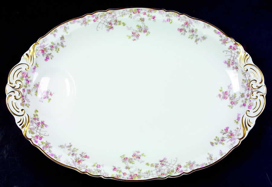 Trellis (Newer) 16" Oval Serving Platter by Haviland-1