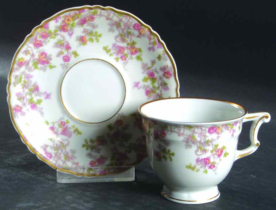 Trellis (Newer) Footed Demitasse Cup & Saucer Set by Haviland-1