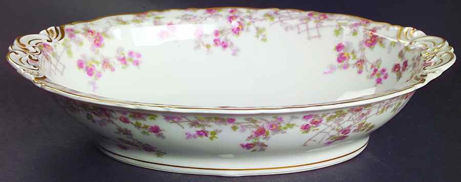 Trellis (Newer) 9" Oval Vegetable Bowl by Haviland-1