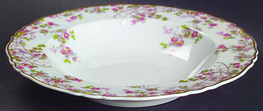 Trellis (Newer) Rim Soup Bowl by Haviland-1