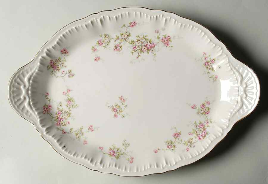 Valeria 14" Oval Serving Platter by Haviland-1