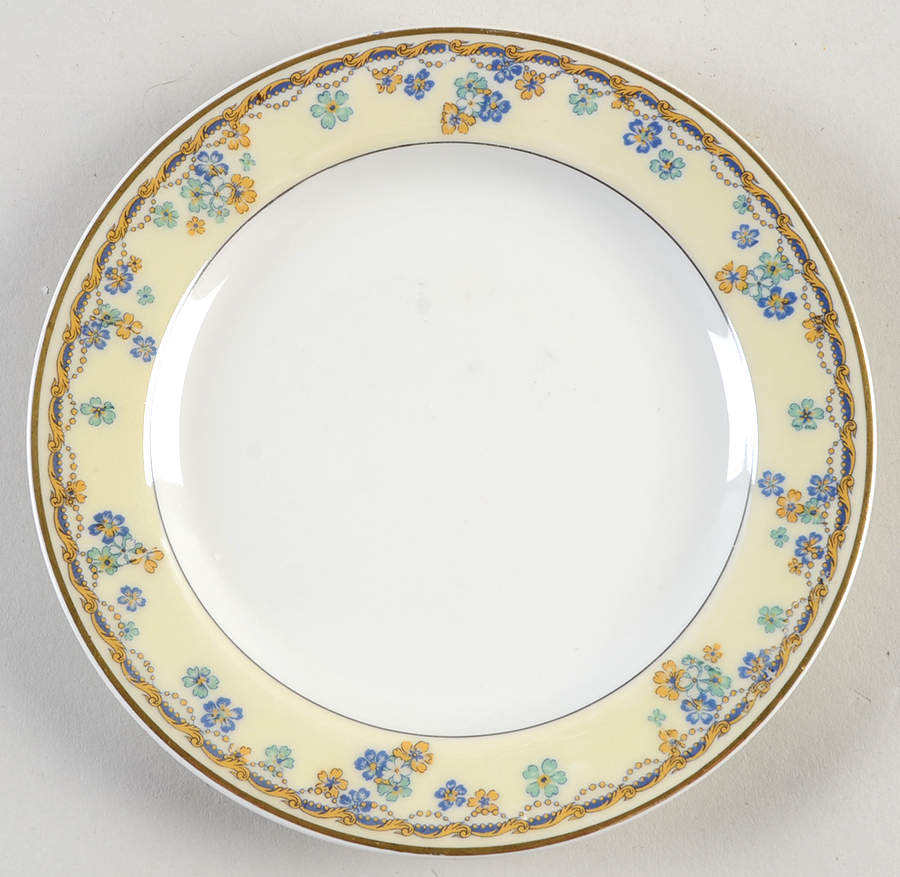 Valpariso Bread & Butter Plate by Haviland-1