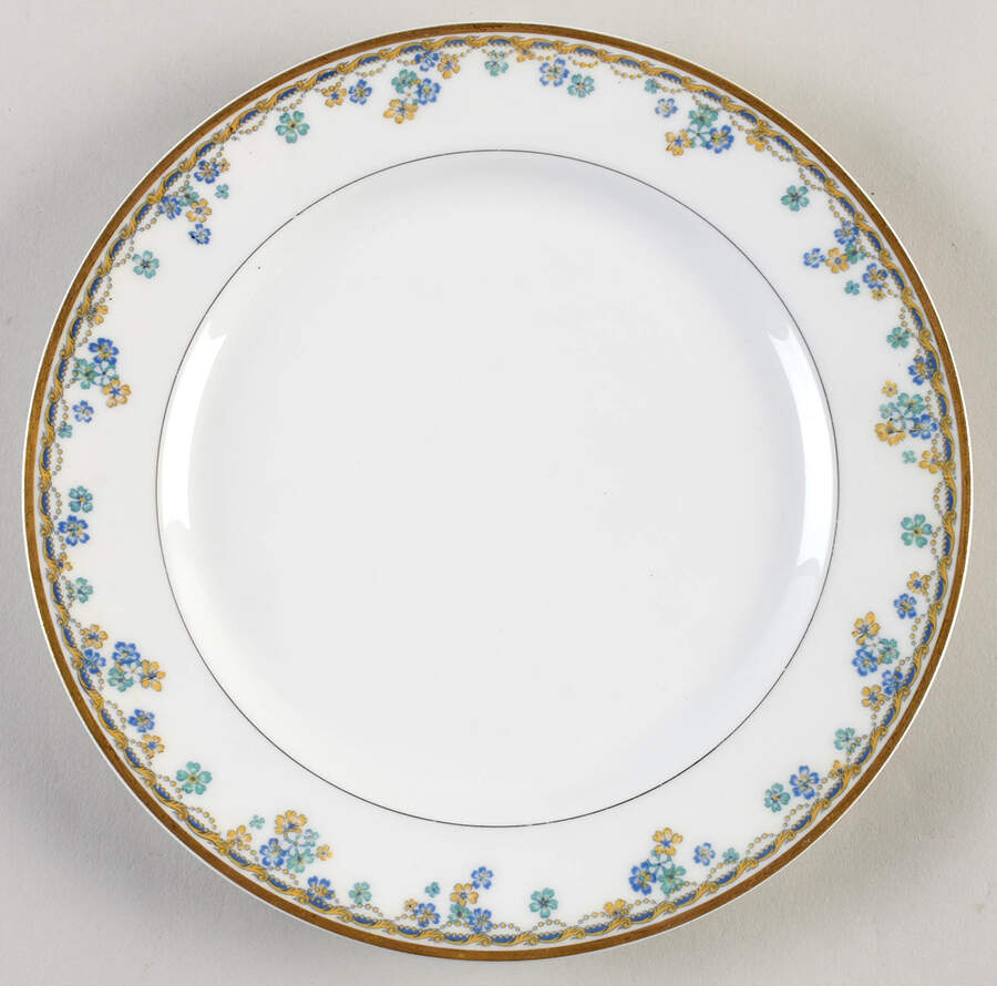 Valpariso Luncheon Plate by Haviland-1