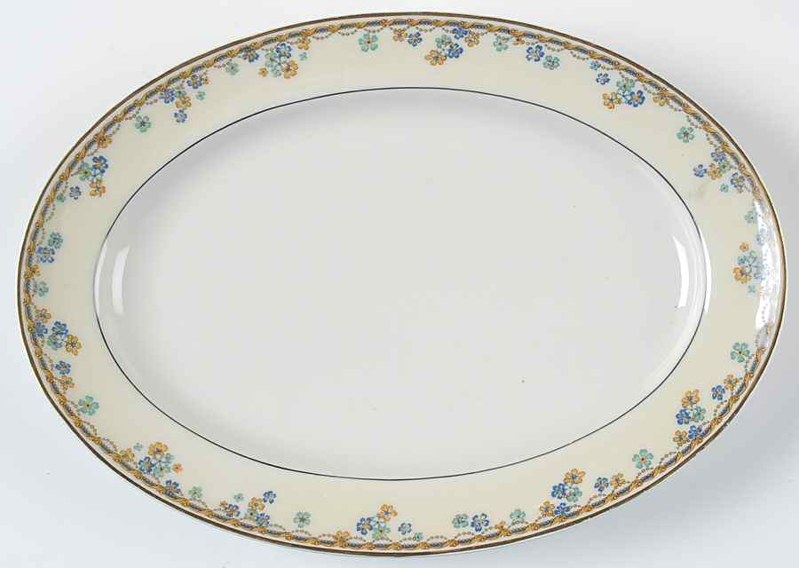 Valpariso 11" Oval Serving Platter by Haviland-1