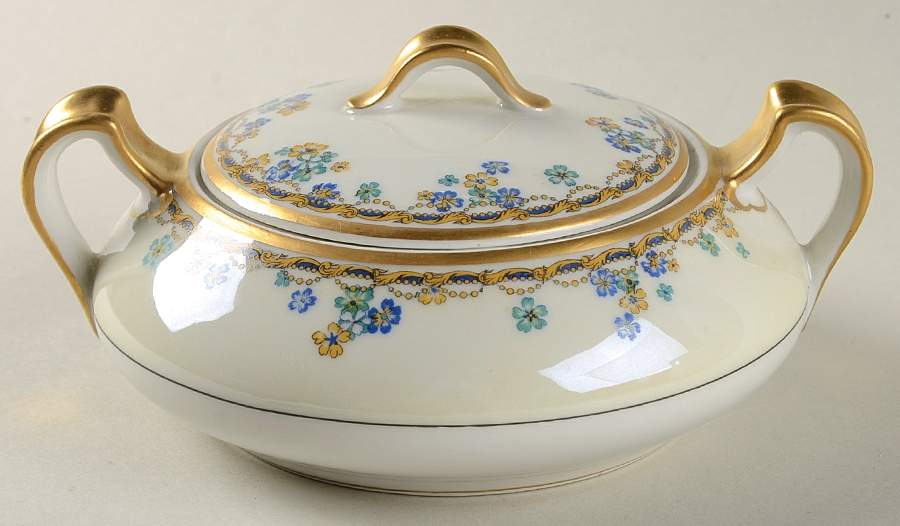Valpariso Sugar Bowl & Lid by Haviland-1
