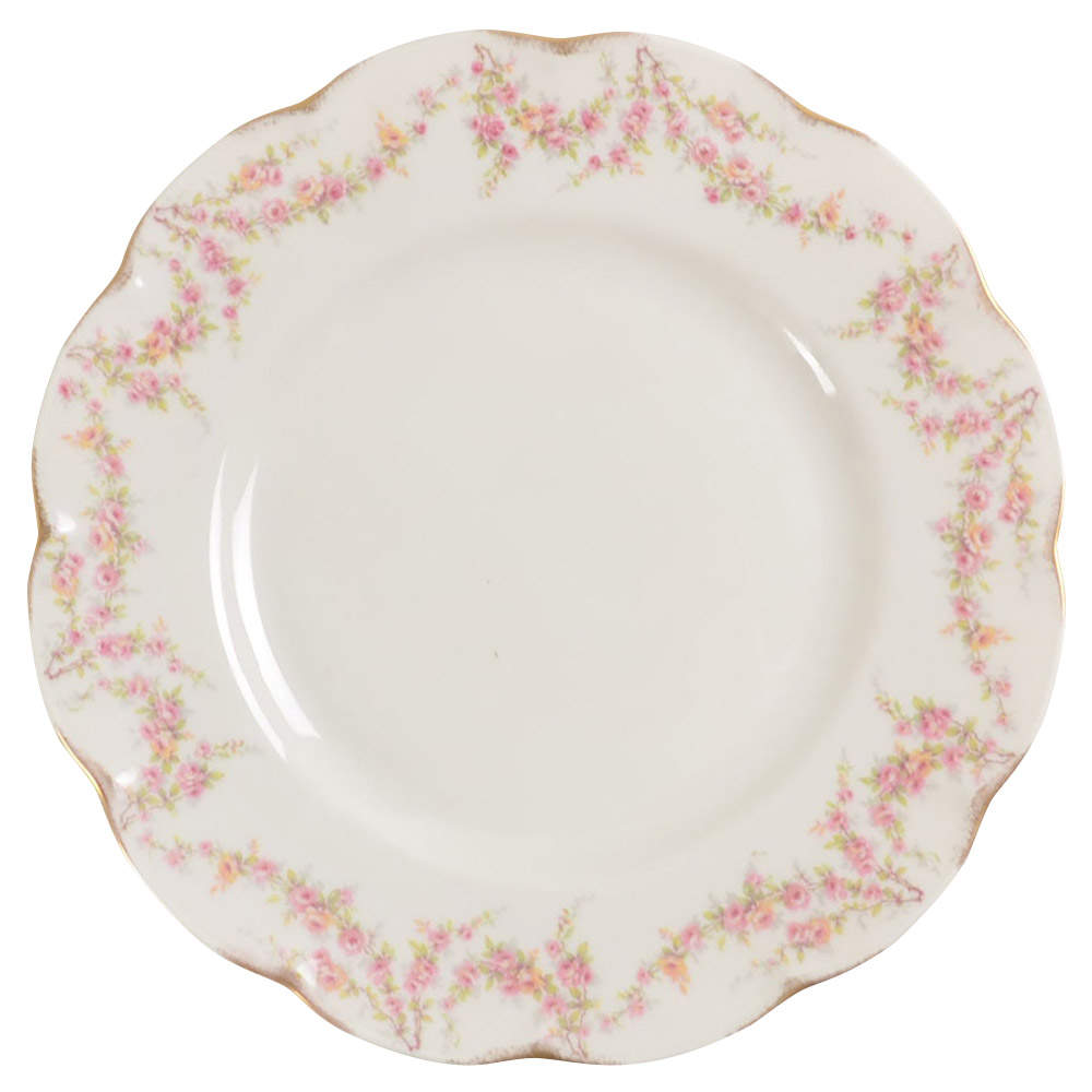 Varenne (New York) Dinner Plate by Haviland-1