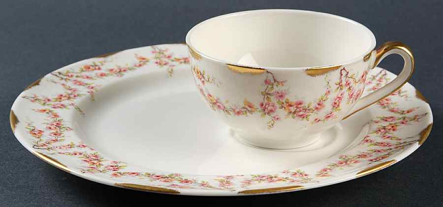 Varenne (New York) Dessert Plate & Cup Set by Haviland-1