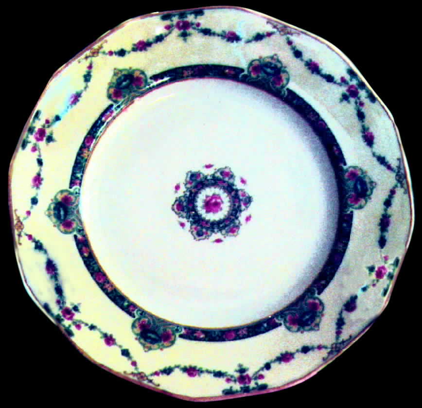 Vega (France) Dinner Plate by Haviland-1