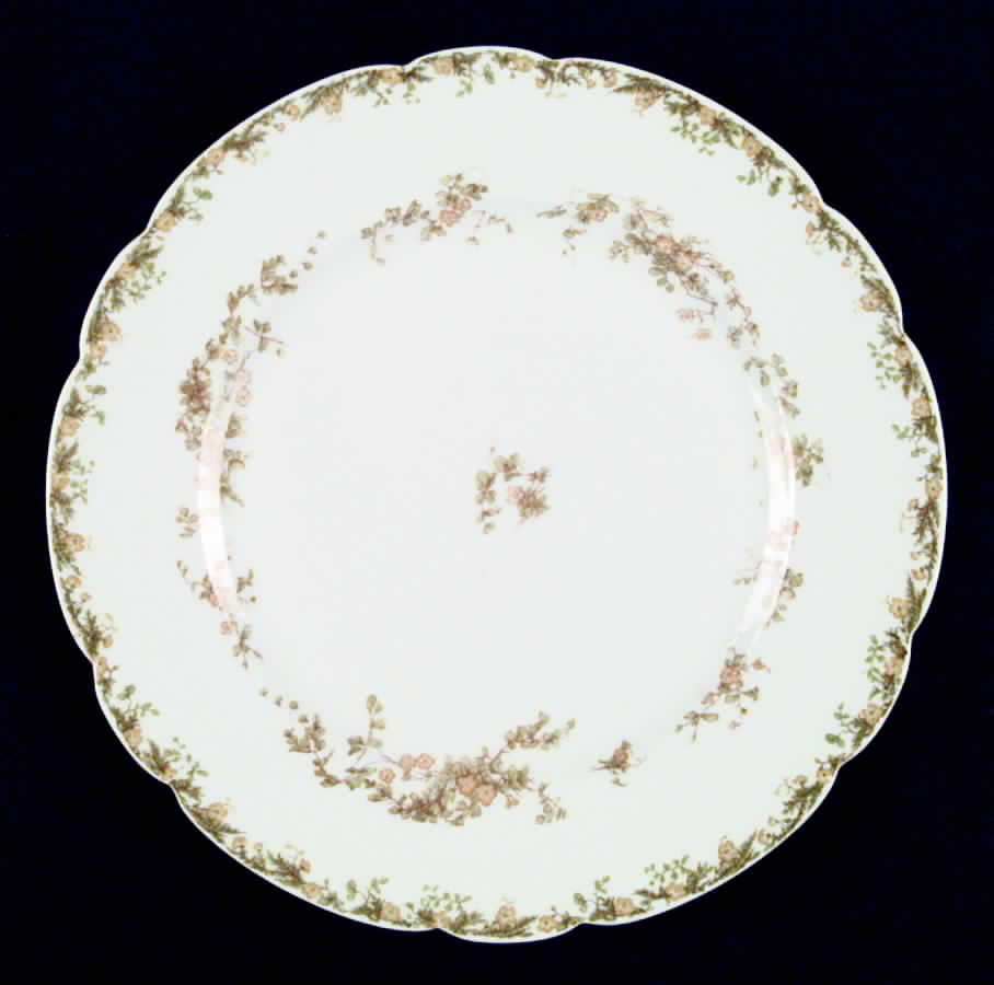 Venetia Dinner Plate by Haviland-1