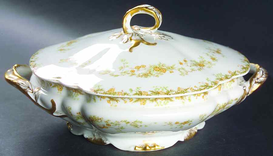Venetia Round Covered Vegetable by Haviland-1