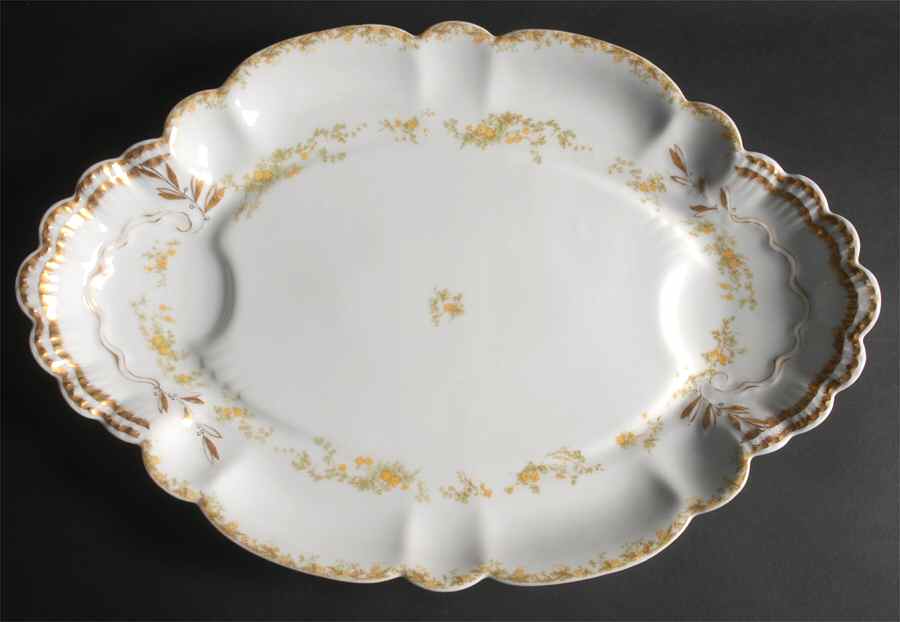 Venetia 19" Oval Serving Platter by Haviland-1
