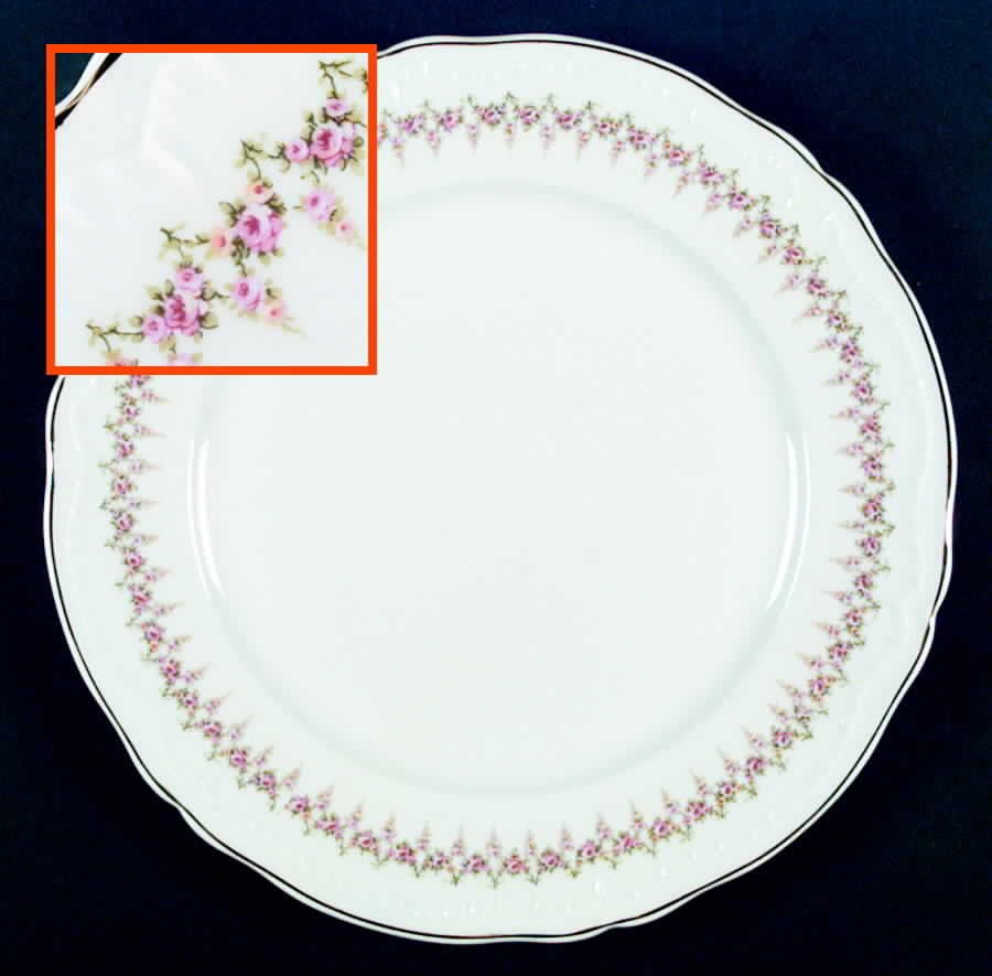 Veronica Dinner Plate by Haviland-1