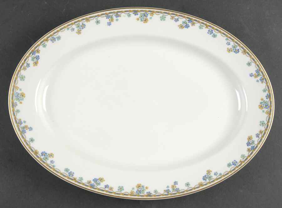 Vincennes 13" Oval Serving Platter by Haviland-1