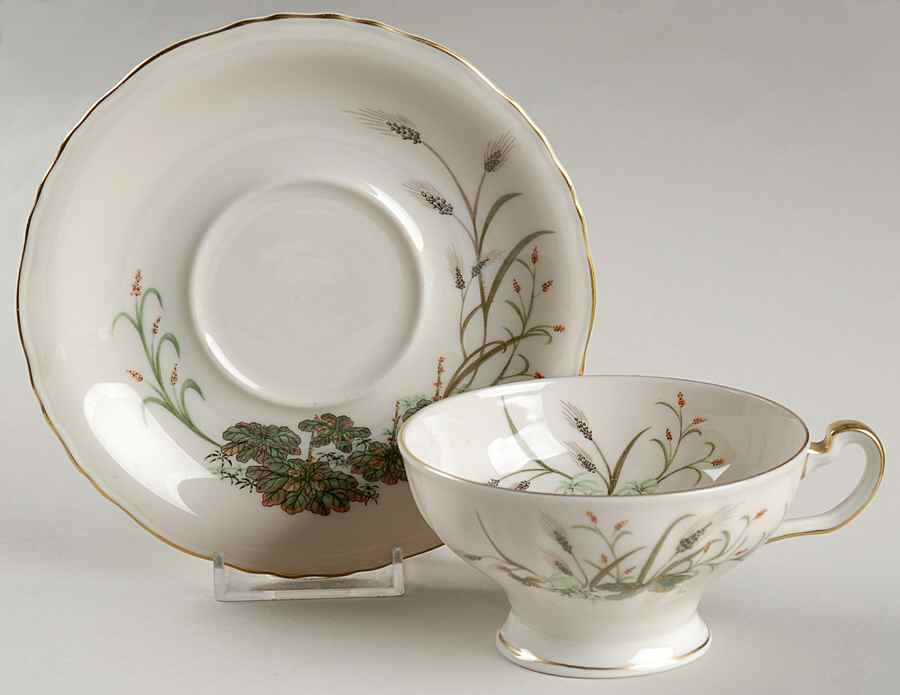 Weathersfield Footed Cup & Saucer Set by Haviland-1
