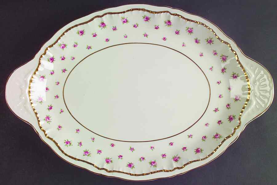 Wilton 14" Oval Serving Platter by Haviland-1