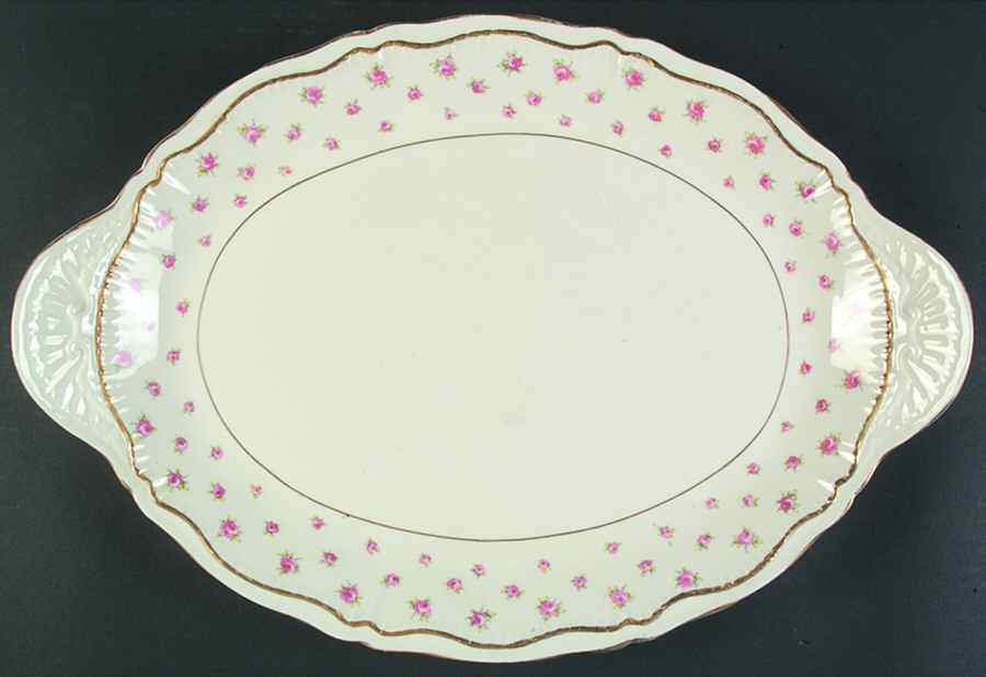 Wilton 16" Oval Serving Platter by Haviland-1